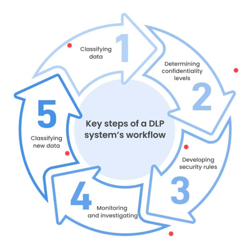 DLP Solutions Service